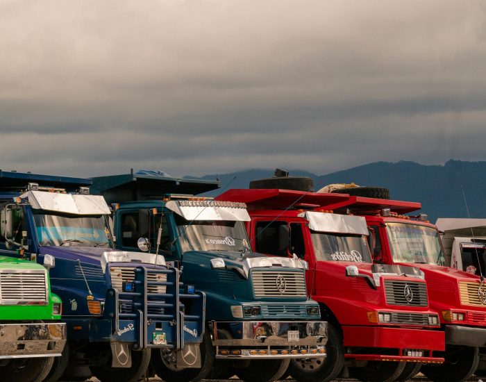 A lineup of vibrant trucks parked outdoors beneath cloudy skies, showcasing diversity in vehicle colors.